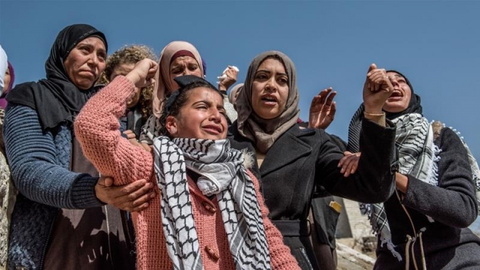Palestine rayyithunge rahvehikan balaigannaanun: Netherlands