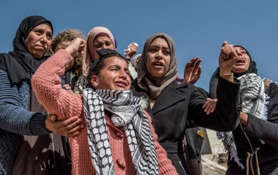 Palestine rayyithunge rahvehikan balaigannaanun: Netherlands