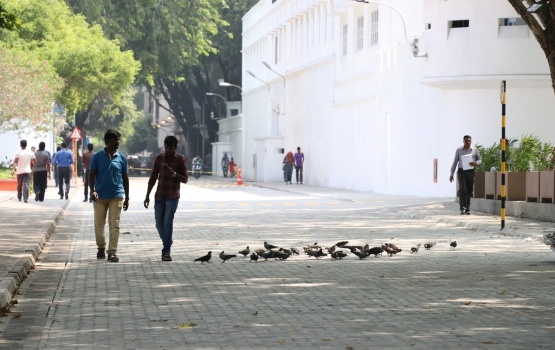 Konmme hukuru dhuvahu Male ge 4 mageh bandhu kuranee