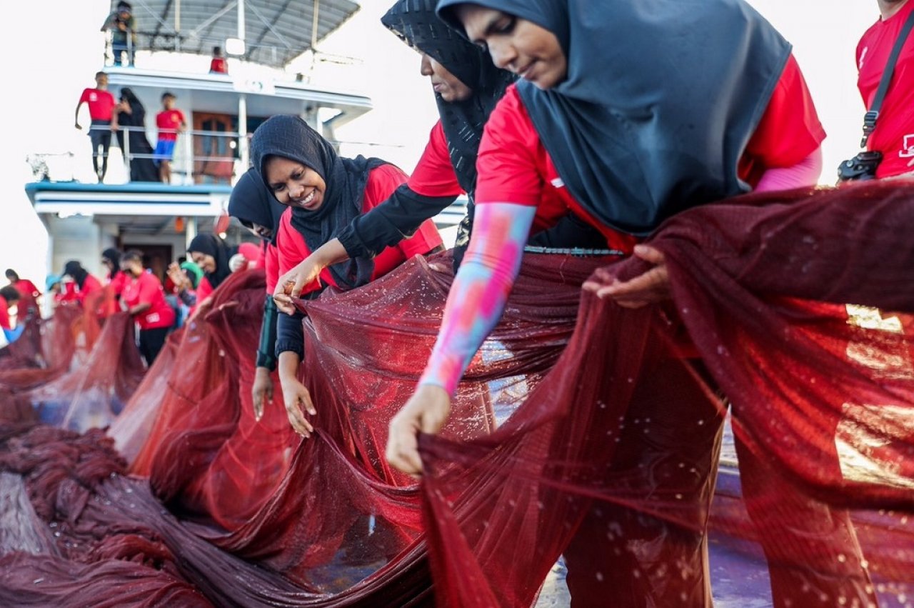 ބީއެމްއެލް އަންހެން ސްޓާފުން މަސްވެރިކަމަށް