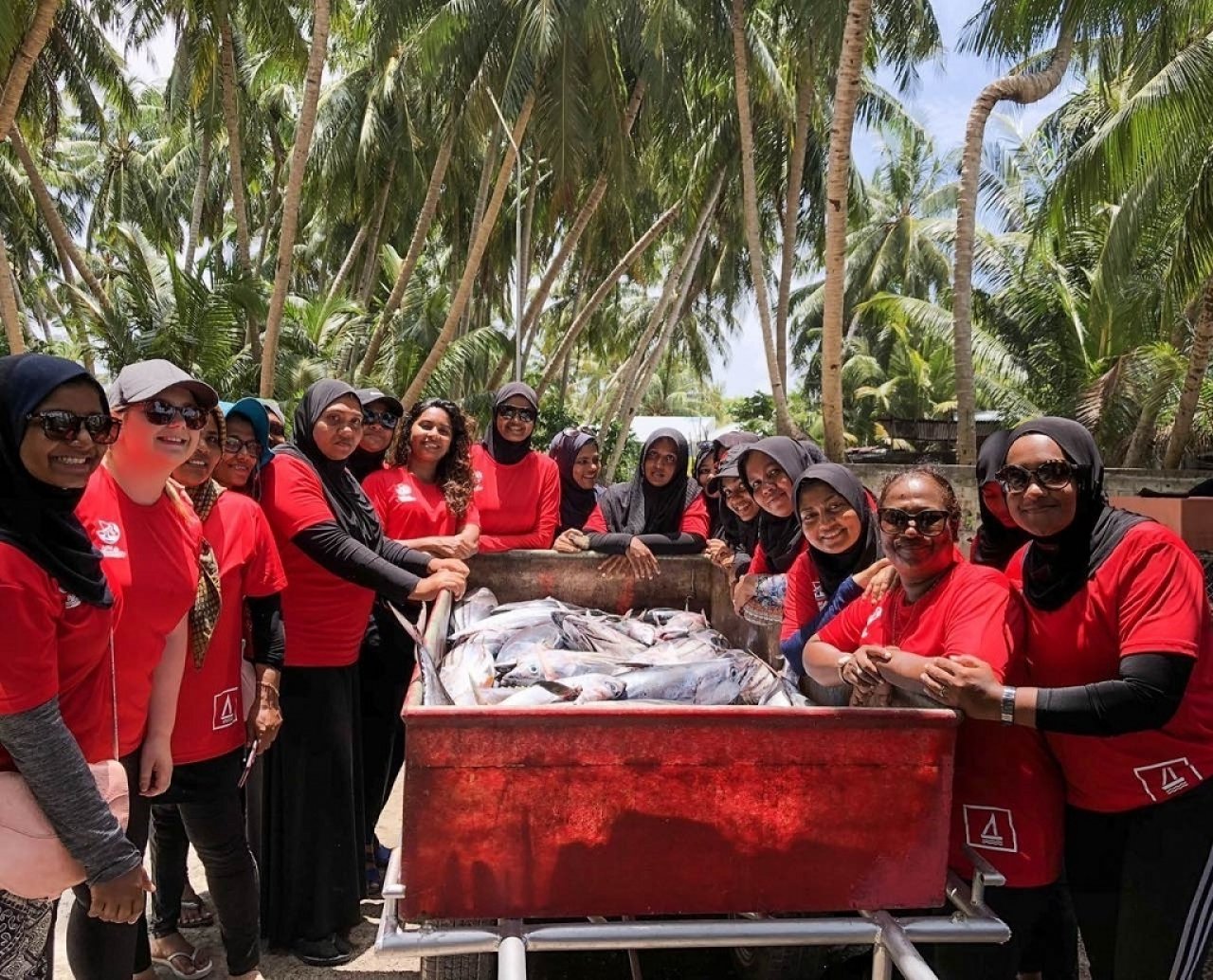 ބީއެމްއެލް އަންހެން ސްޓާފުން މަސްވެރިކަމަށް