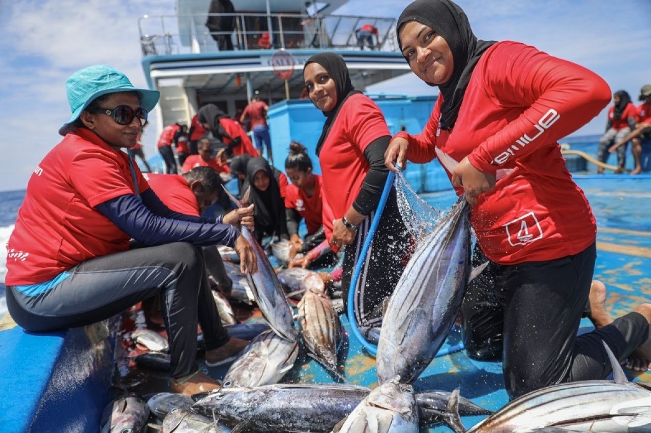 ބީއެމްއެލް އަންހެން ސްޓާފުން މަސްވެރިކަމަށް