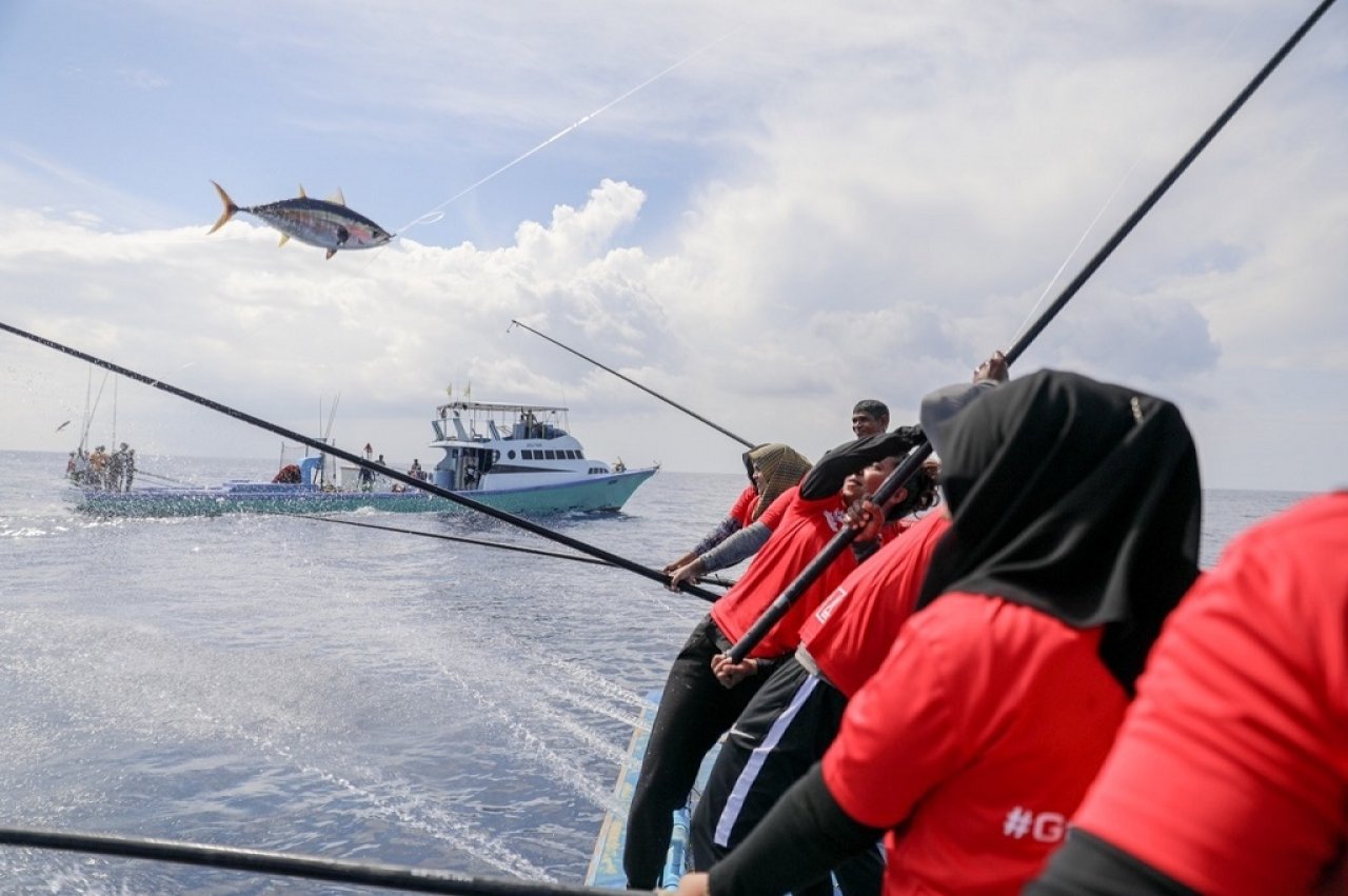 ބީއެމްއެލް އަންހެން ސްޓާފުން މަސްވެރިކަމަށް