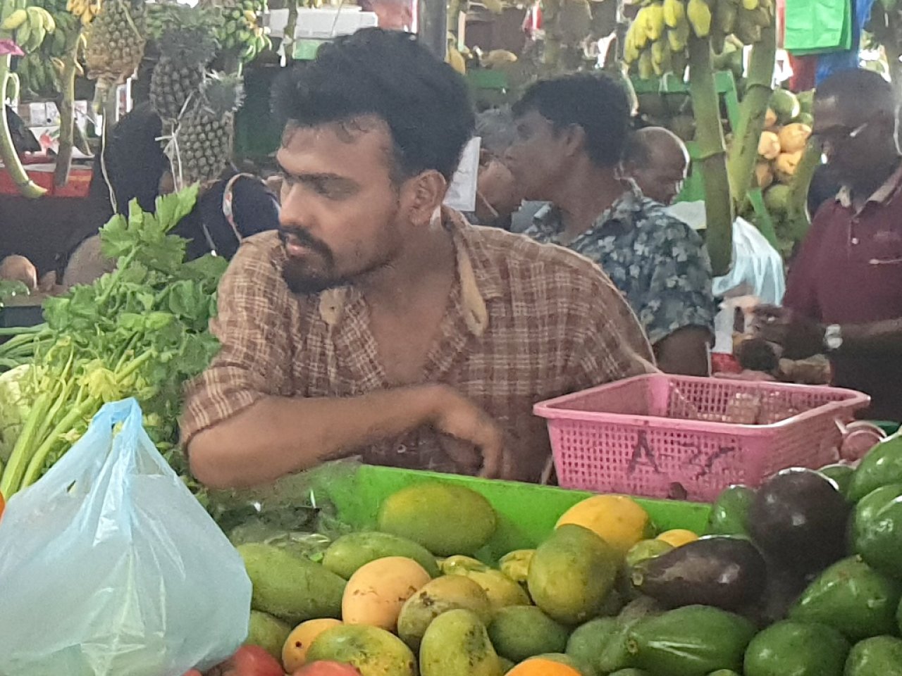 މާލޭ ލޯކަލް މާރުކޭޓު ރޯދައަށް ތައްޔާރު ވެފައި