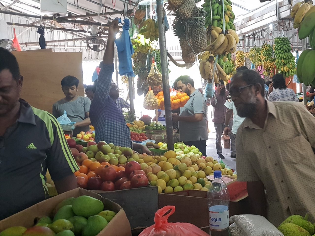 މާލޭ ލޯކަލް މާރުކޭޓު ރޯދައަށް ތައްޔާރު ވެފައި