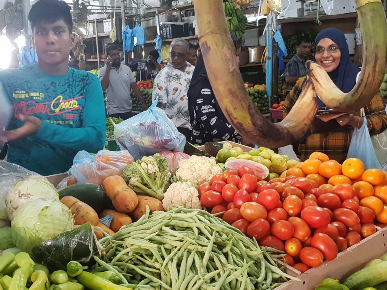 މާލޭ ލޯކަލް މާރުކޭޓު ރޯދައަށް ތައްޔާރު ވެފައި
