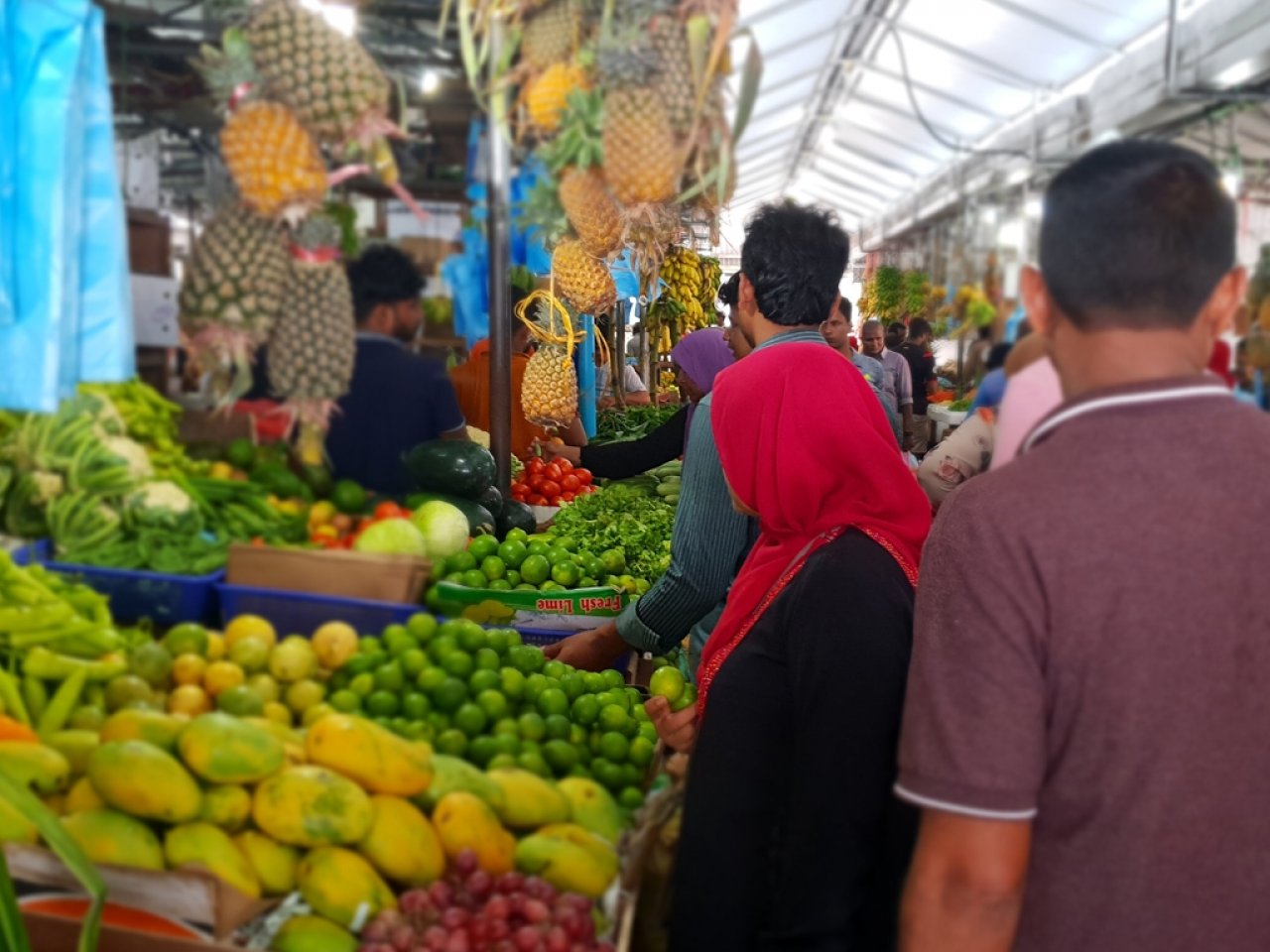 މާލޭ ލޯކަލް މާރުކޭޓު ރޯދައަށް ތައްޔާރު ވެފައި