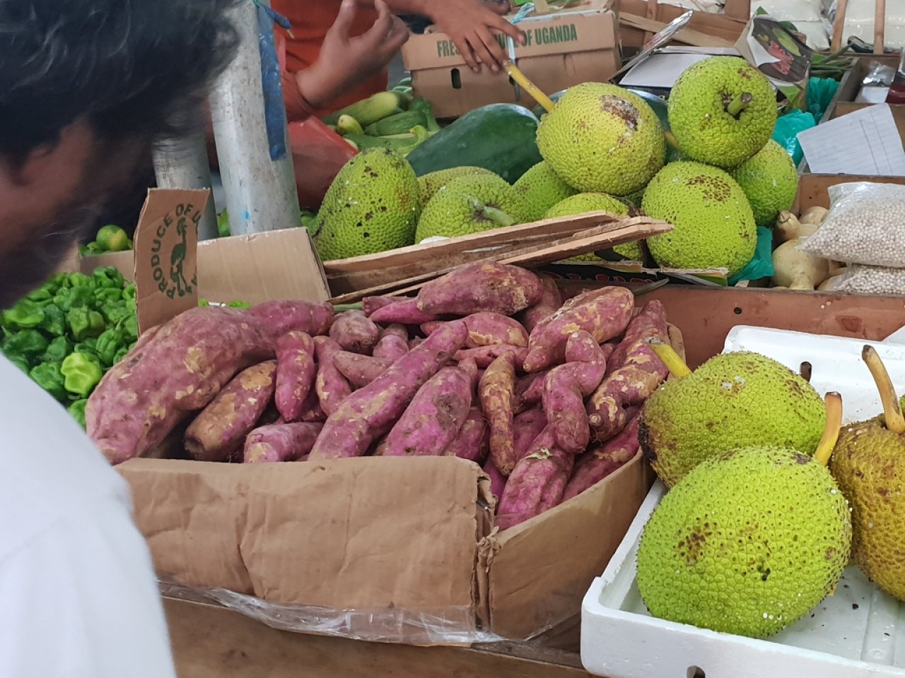 މާލޭ ލޯކަލް މާރުކޭޓު ރޯދައަށް ތައްޔާރު ވެފައި