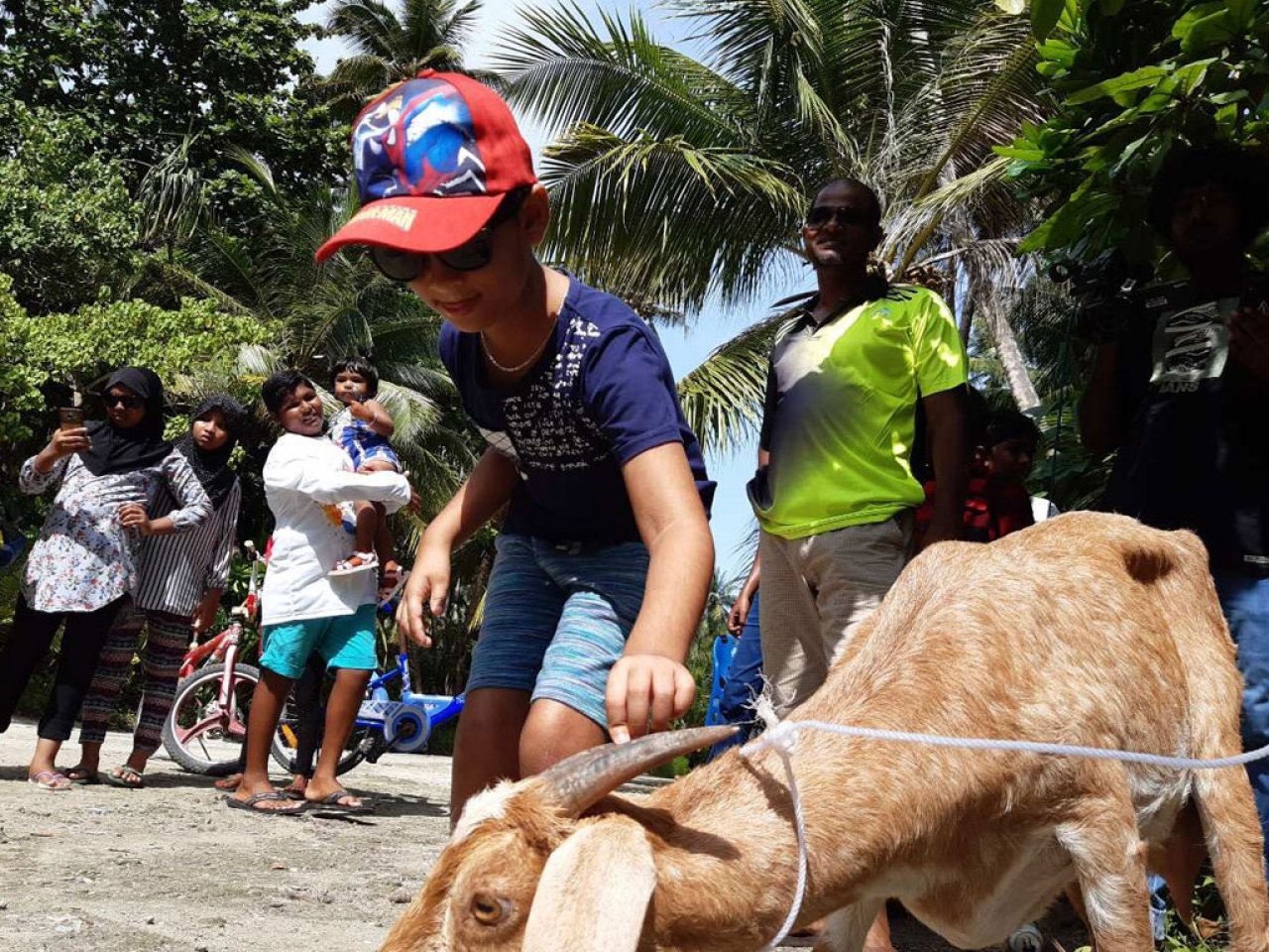 ބޮޑު އީދު ރާއްޖޭގެ ކަންކޮޅުތަކުން