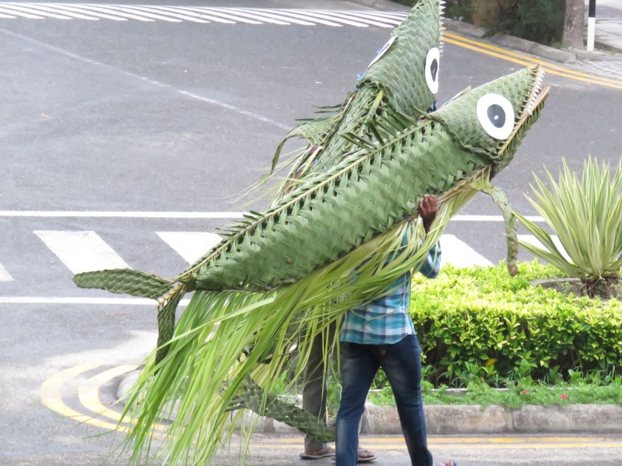 ބޮޑު އީދު މާލި ކުޅިވަރު