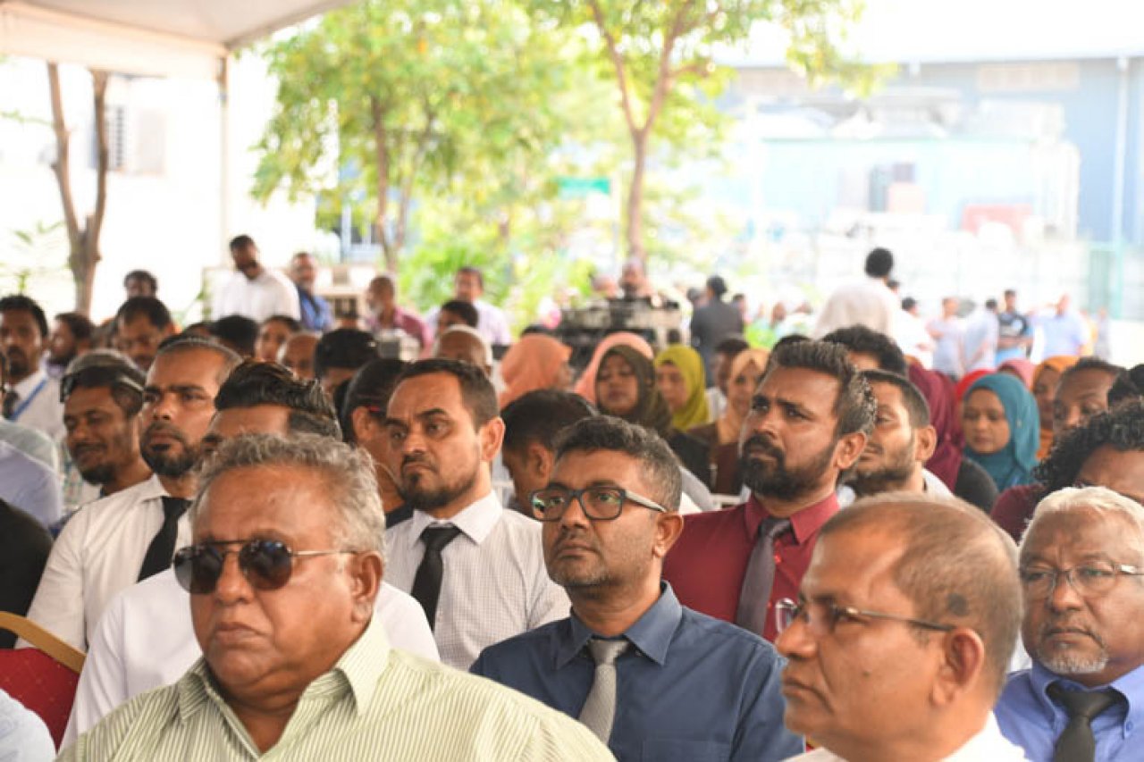 އެންސިސް އައިސް ޕްލާންޓް ހުލުވުމުގެ ރަސްމިޔާތު
