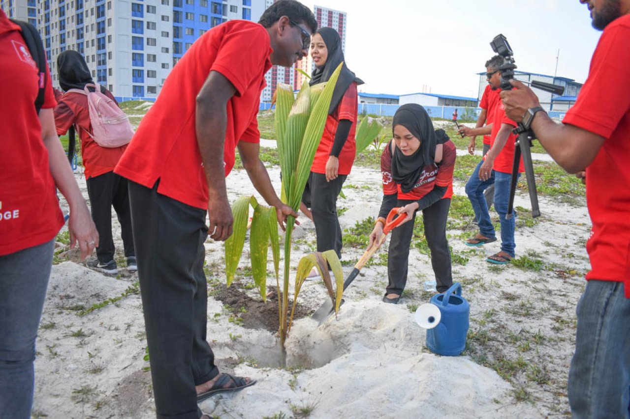 ޓްރެޝާ ދަ ޓްރީސް: ސައިރިކްސް ކޮލެޖުން ހުޅުމާލެ ފޭސް 2 ގައި ގަސް އިންދައިފި