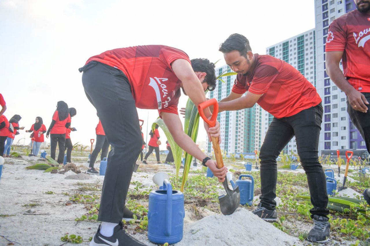 ޓްރެޝާ ދަ ޓްރީސް: ސައިރިކްސް ކޮލެޖުން ހުޅުމާލެ ފޭސް 2 ގައި ގަސް އިންދައިފި