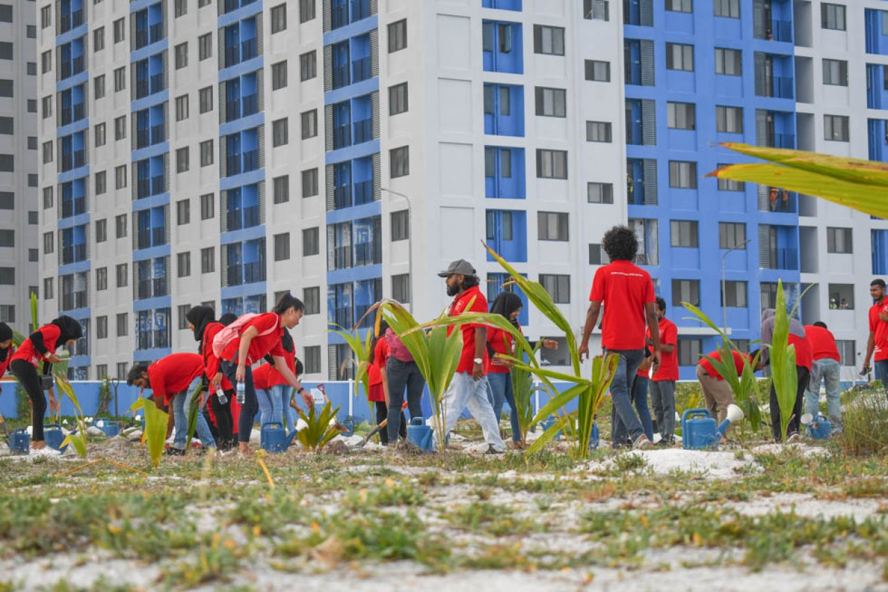 ޓްރެޝާ ދަ ޓްރީސް: ސައިރިކްސް ކޮލެޖުން ހުޅުމާލެ ފޭސް 2 ގައި ގަސް އިންދައިފި