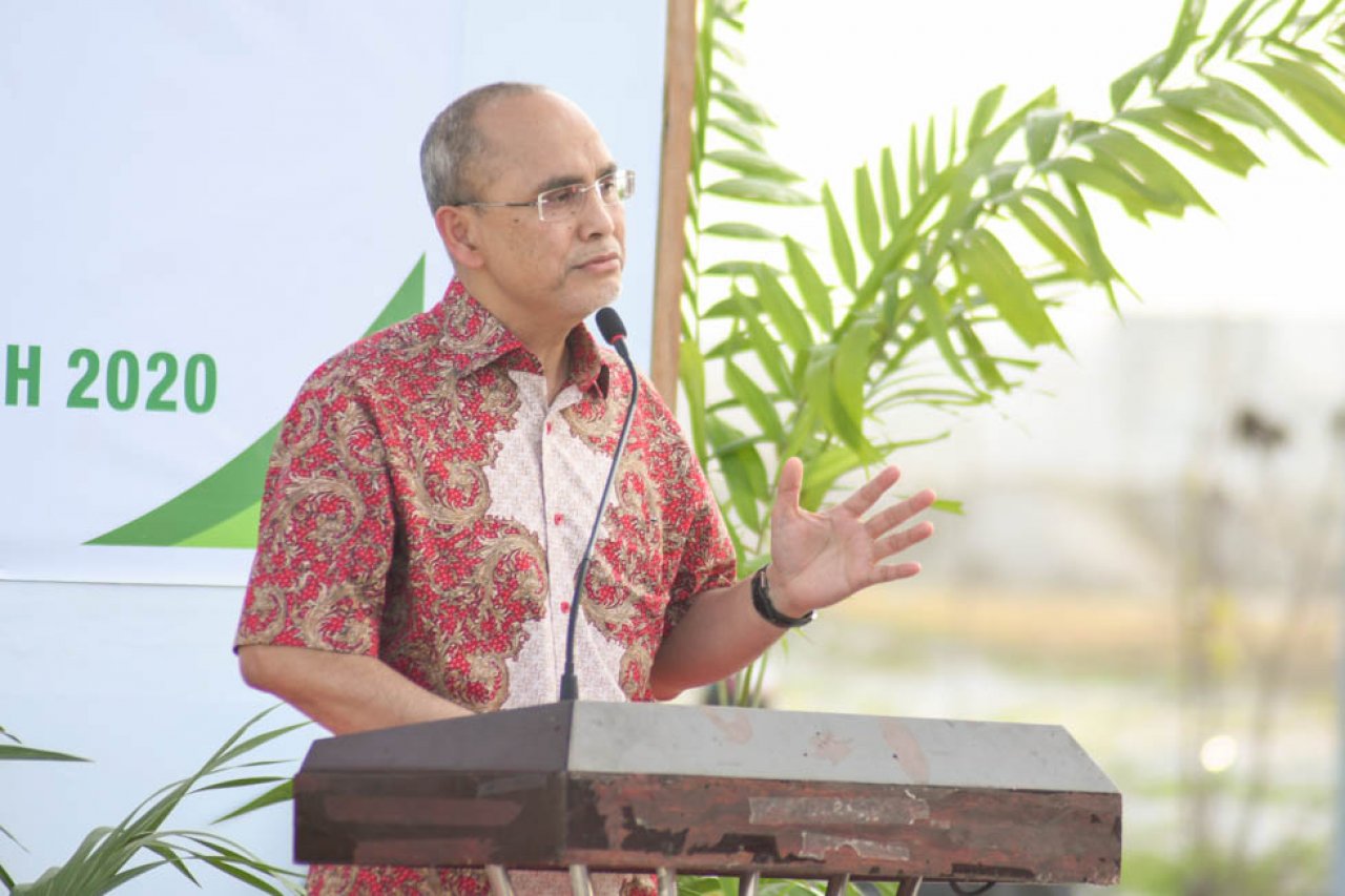 ޓްރެޝާ ދަ ޓްރީސް: ސައިރިކްސް ކޮލެޖުން ހުޅުމާލެ ފޭސް 2 ގައި ގަސް އިންދައިފި