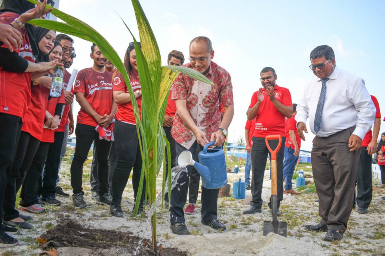 ޓްރެޝާ ދަ ޓްރީސް: ސައިރިކްސް ކޮލެޖުން ހުޅުމާލެ ފޭސް 2 ގައި ގަސް އިންދައިފި