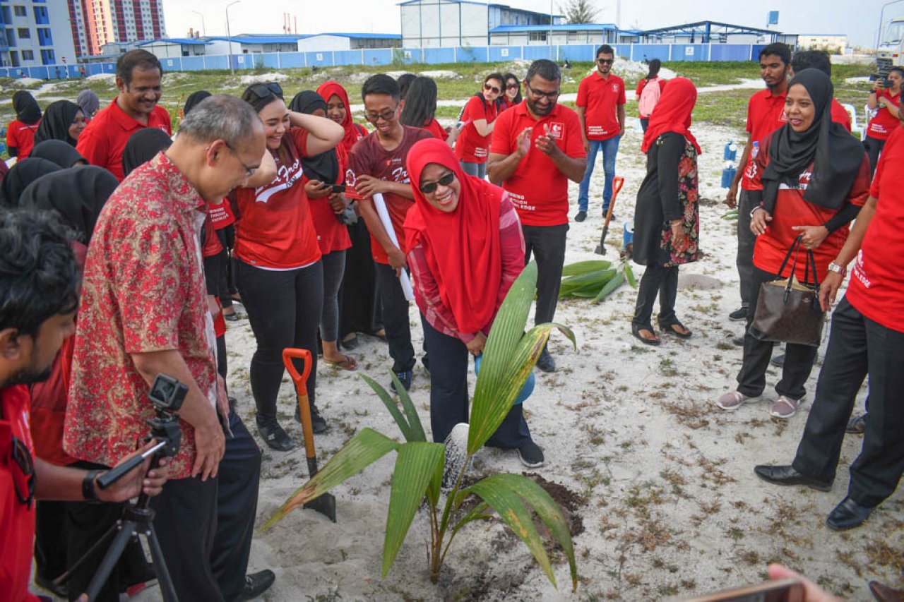 ޓްރެޝާ ދަ ޓްރީސް: ސައިރިކްސް ކޮލެޖުން ހުޅުމާލެ ފޭސް 2 ގައި ގަސް އިންދައިފި