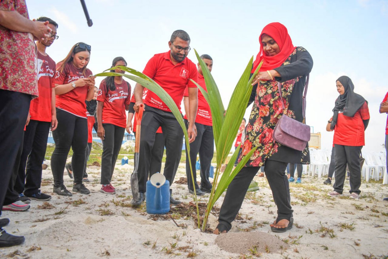 ޓްރެޝާ ދަ ޓްރީސް: ސައިރިކްސް ކޮލެޖުން ހުޅުމާލެ ފޭސް 2 ގައި ގަސް އިންދައިފި