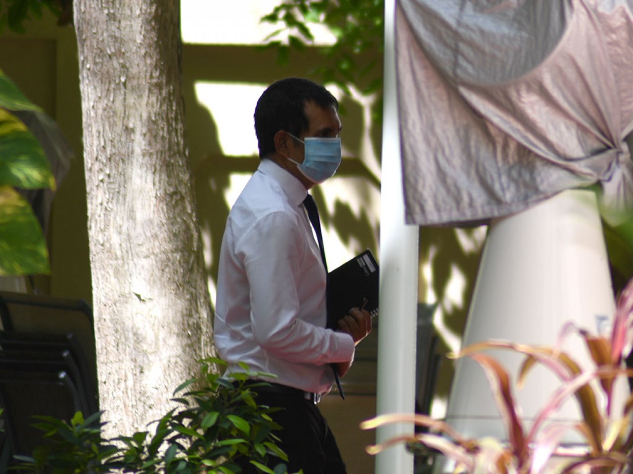 މާސްކް އަޅައިގެން މެންބަރުން މަޖިލީހަށް