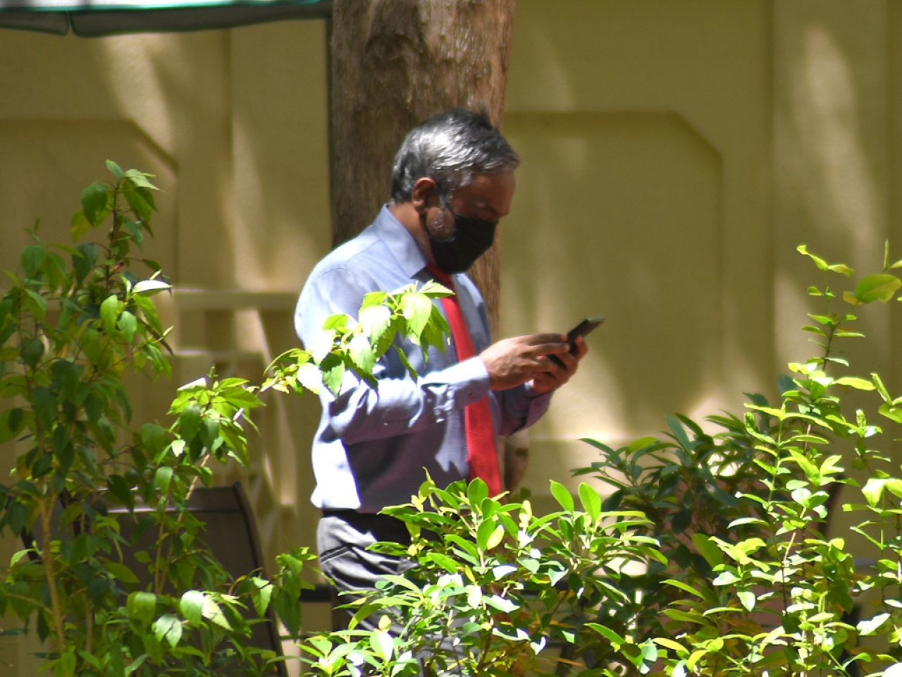 މާސްކް އަޅައިގެން މެންބަރުން މަޖިލީހަށް