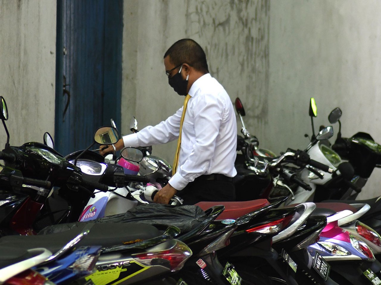 މާސްކް އަޅައިގެން މެންބަރުން މަޖިލީހަށް