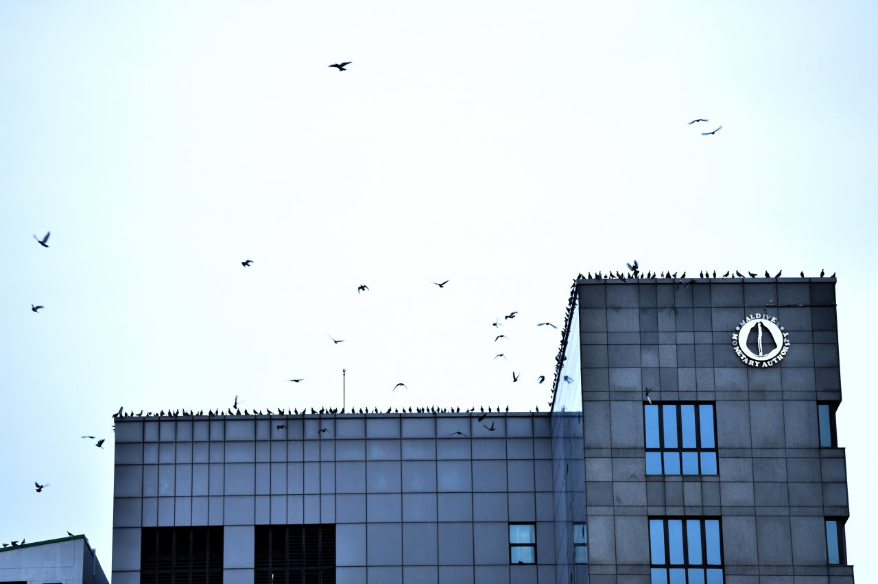 ޖުލައި 26، 2020 ގައި ފާހަގަ ކުރި 55 ވަނަ މިނިވަން ދުވަސް