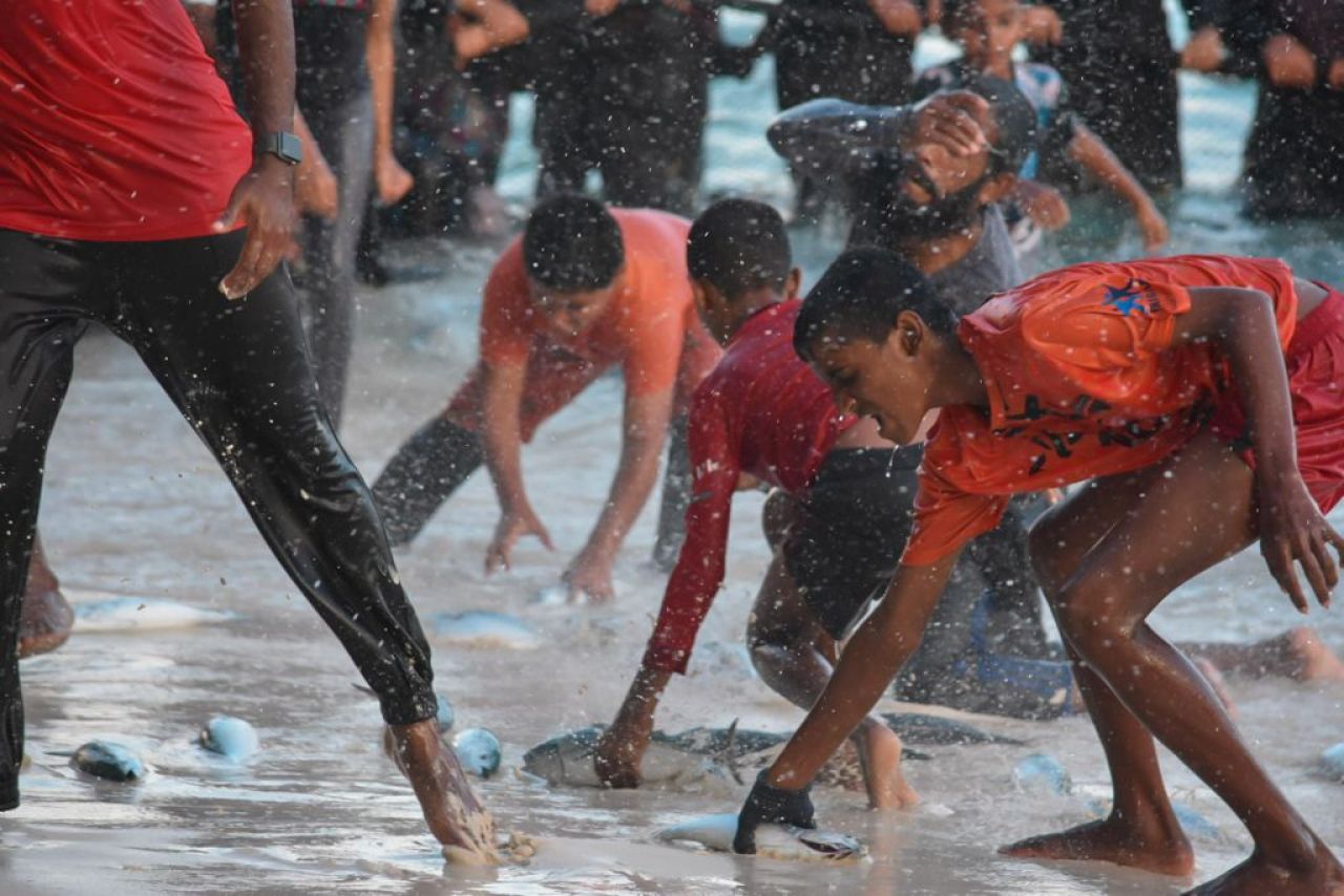 ތ. ބުރުންޏަށް ވަން ރާގޮނޑި އައިނަށް 4 ދުވަސް، މިއަދު 3700 ހިފި