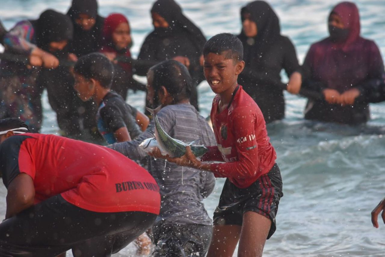 ތ. ބުރުންޏަށް ވަން ރާގޮނޑި އައިނަށް 4 ދުވަސް، މިއަދު 3700 ހިފި