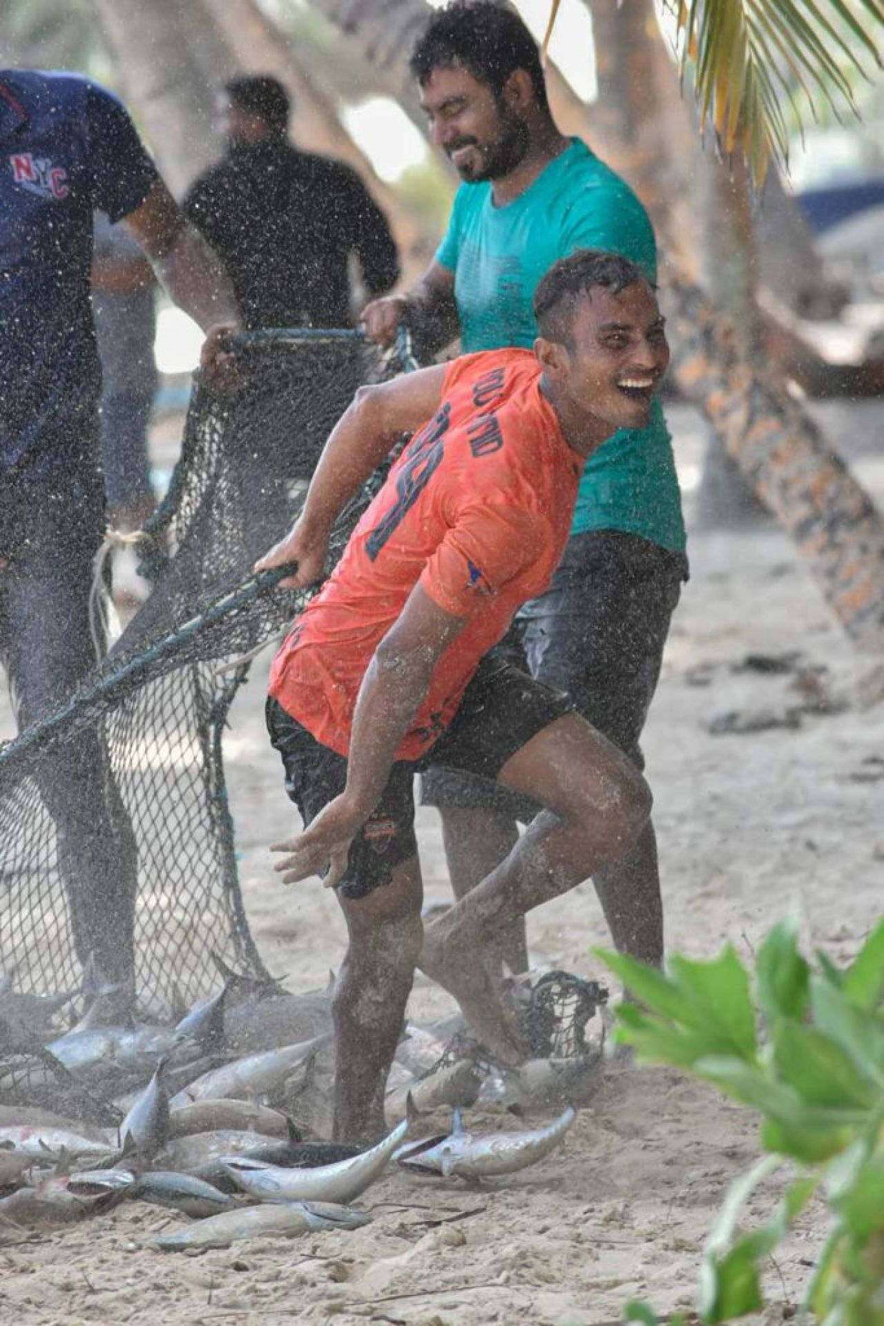 ތ. ބުރުންޏަށް ވަން ރާގޮނޑި އައިނަށް 4 ދުވަސް، މިއަދު 3700 ހިފި