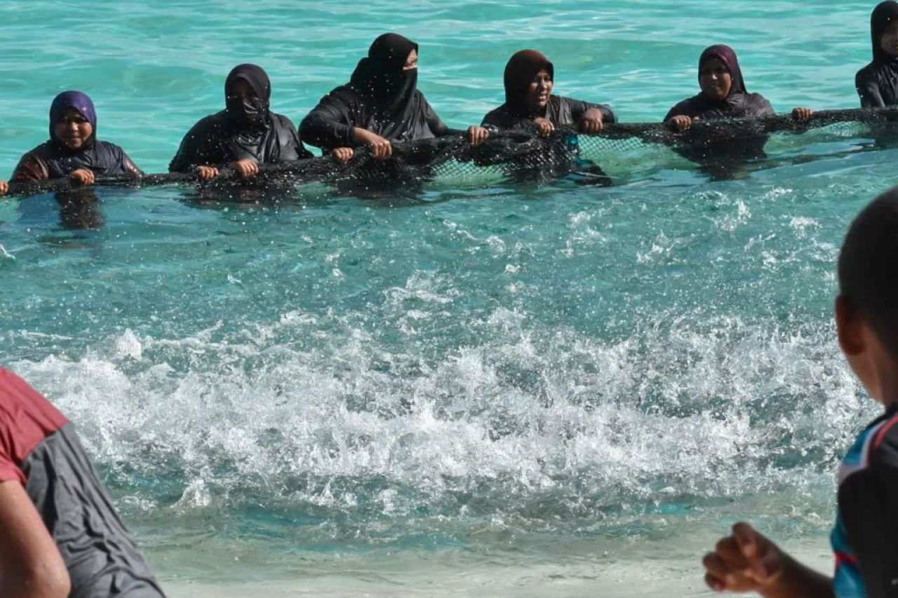 ތ. ބުރުންޏަށް ވަން ރާގޮނޑި އައިނަށް 4 ދުވަސް، މިއަދު 3700 ހިފި