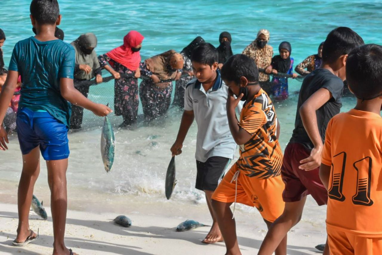 ތ. ބުރުންޏަށް ވަން ރާގޮނޑި އައިނަށް 4 ދުވަސް، މިއަދު 3700 ހިފި