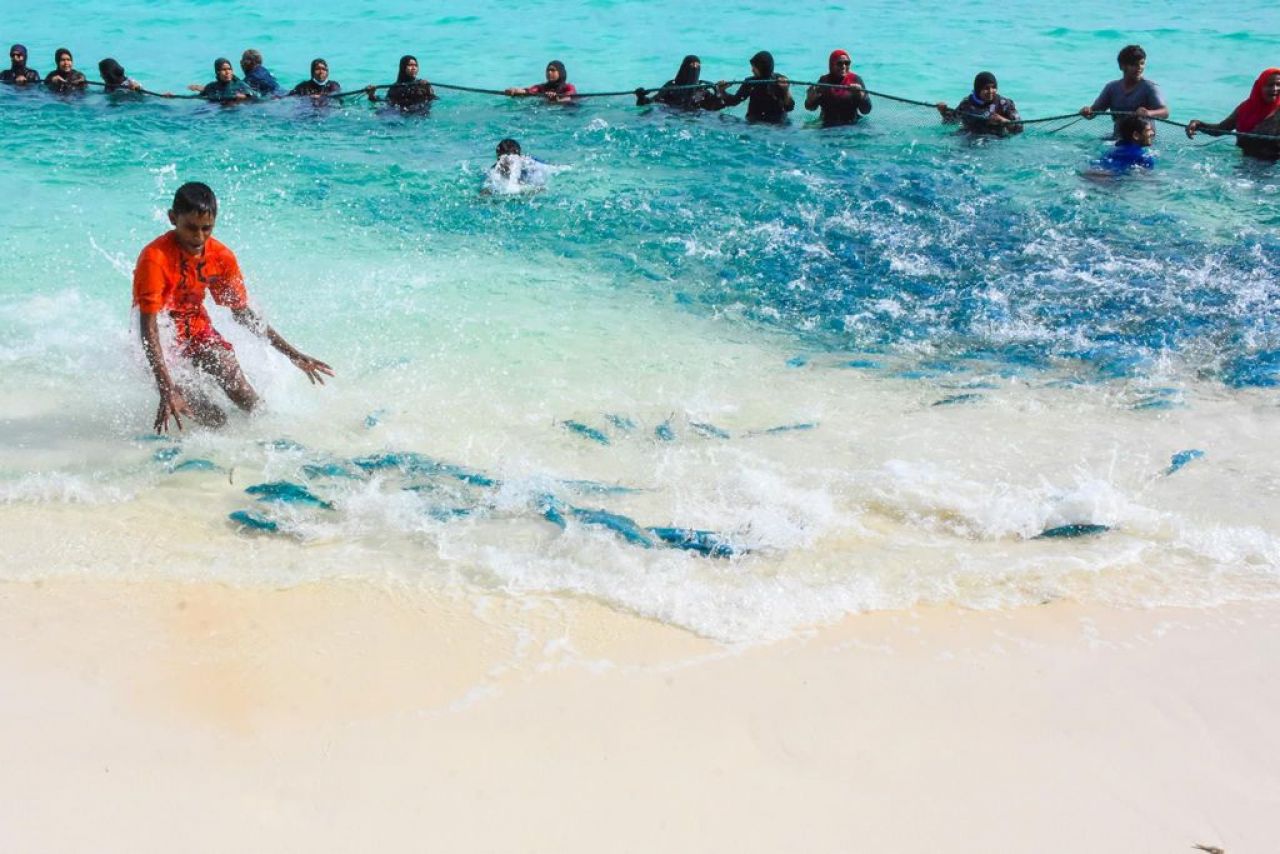 ތ. ބުރުންޏަށް ވަން ރާގޮނޑި އައިނަށް 4 ދުވަސް، މިއަދު 3700 ހިފި