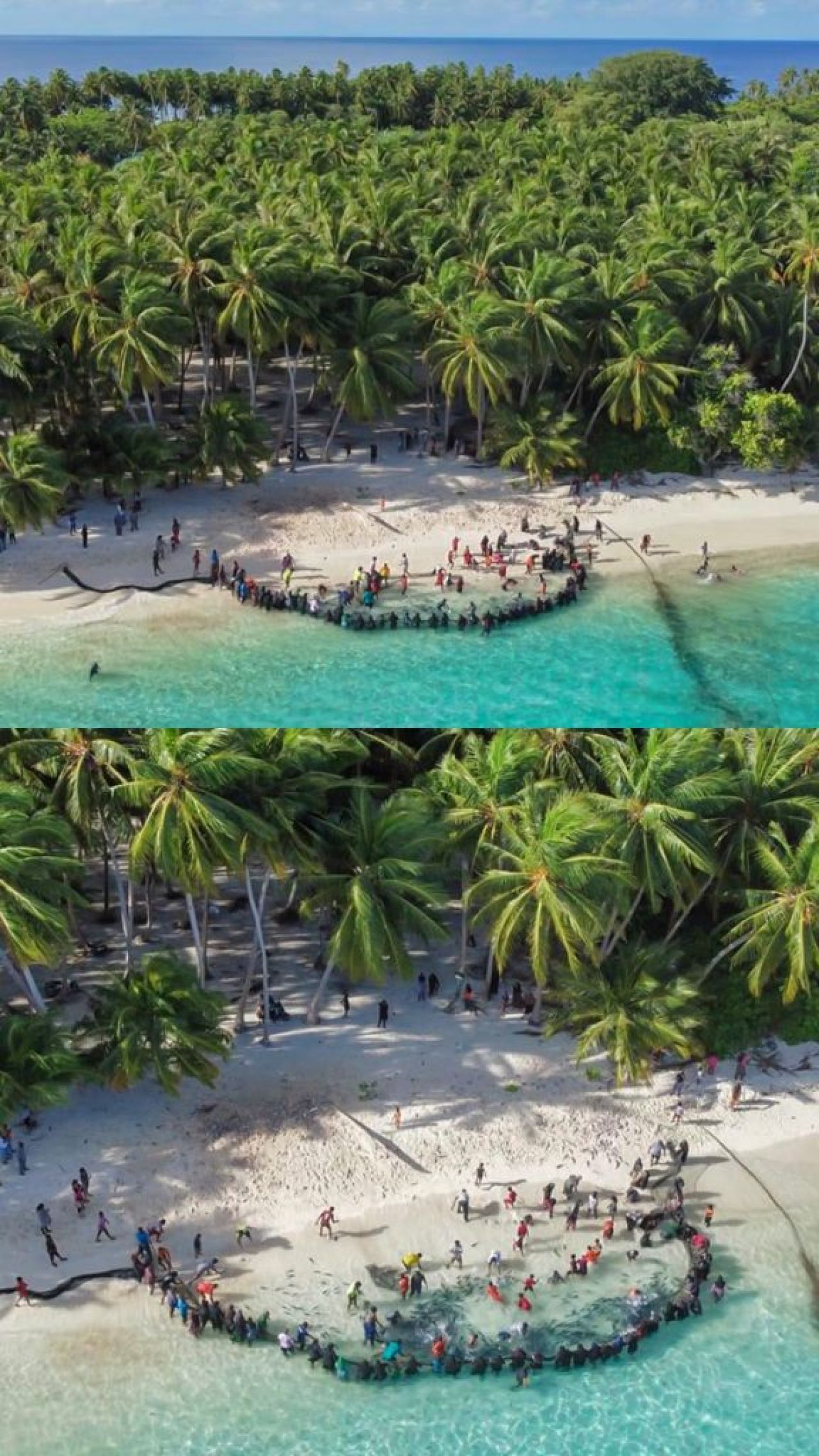 ތ. ބުރުންޏަށް ވަން ރާގޮނޑި އައިނަށް 4 ދުވަސް، މިއަދު 3700 ހިފި