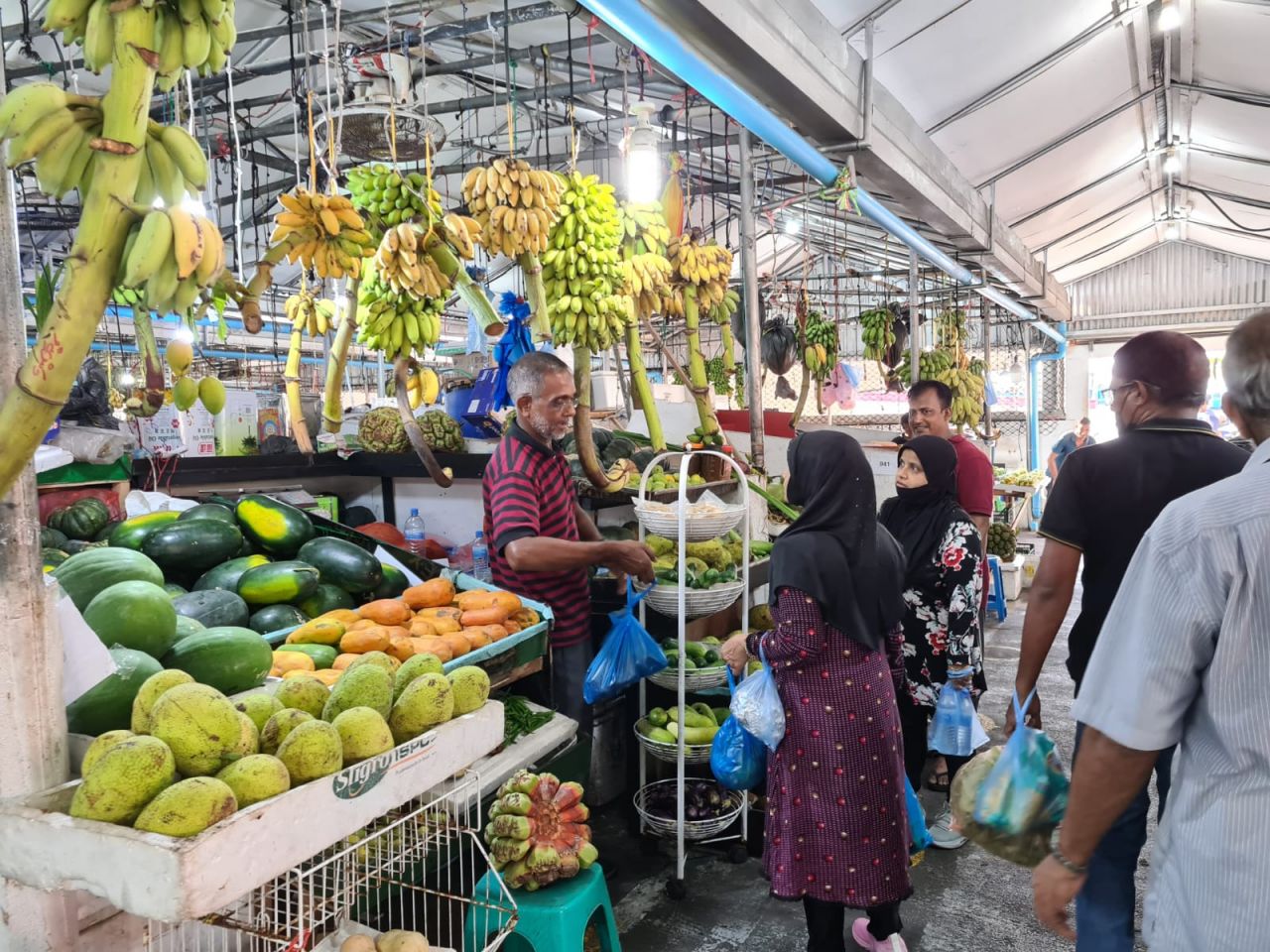 ރޯދަމަސް ފޮޓޯ އިން