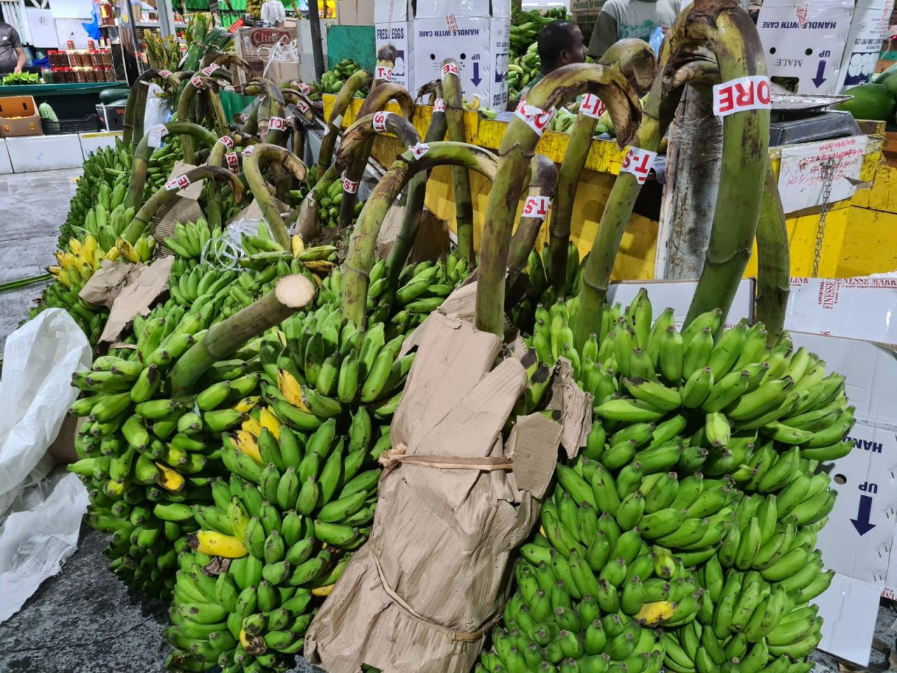 ރޯދަމަސް ފޮޓޯ އިން