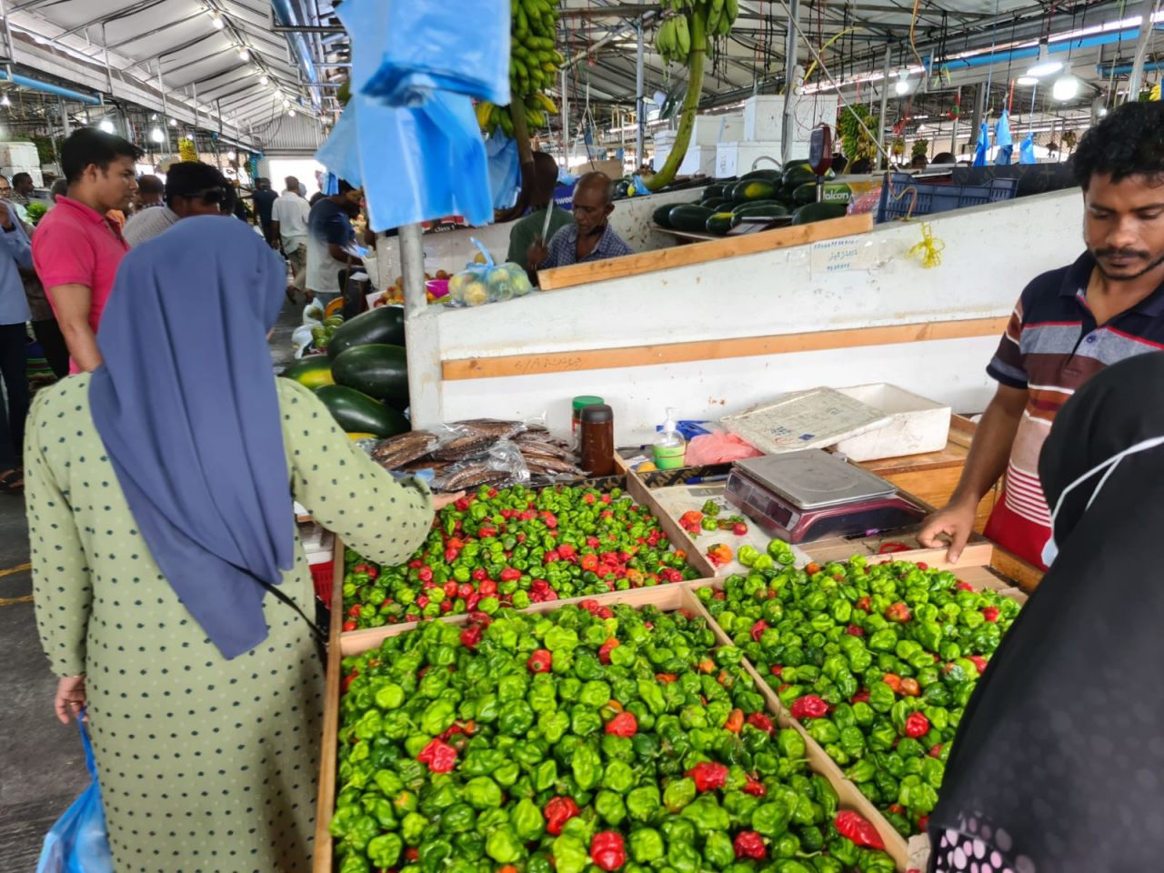 ރޯދަމަސް ފޮޓޯ އިން