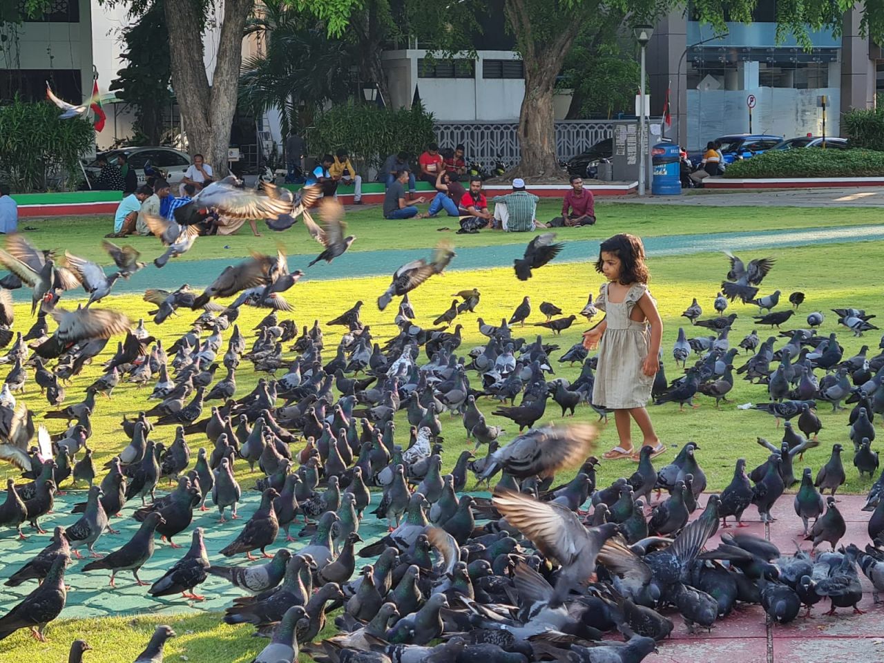 ރޯދަމަސް ފޮޓޯ އިން