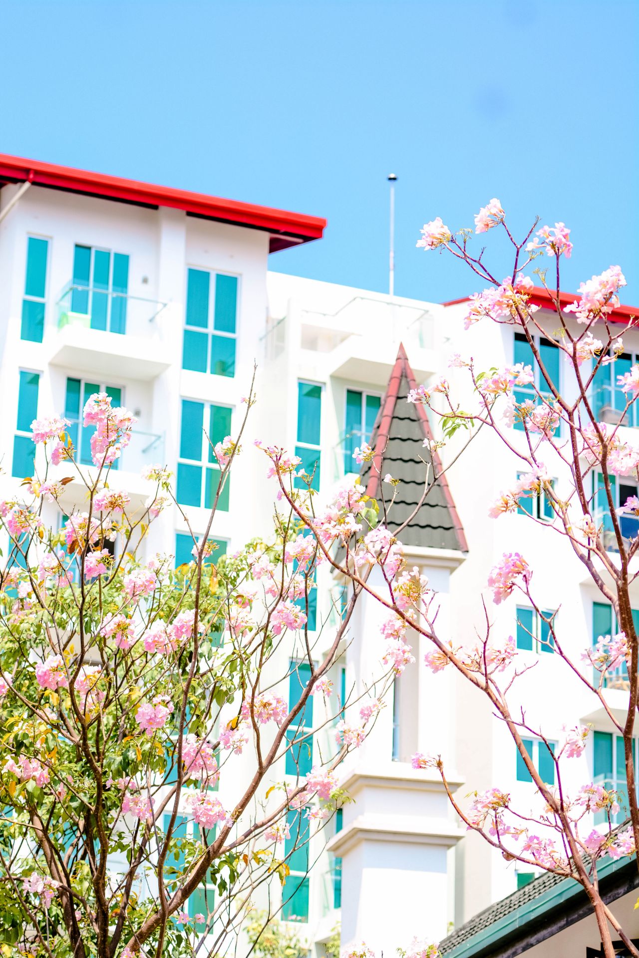 ބަހާރު މޫސުމުގެ ރީތިކަން ހުޅުމާލެއަށް