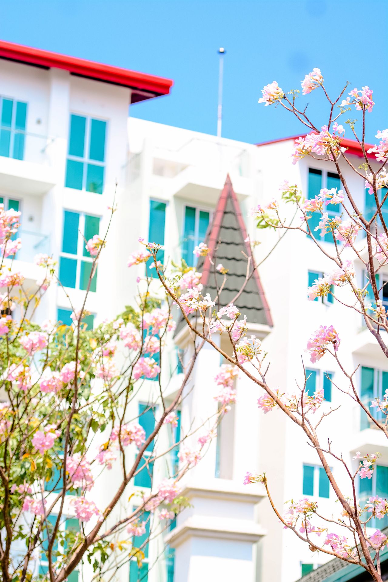 ބަހާރު މޫސުމުގެ ރީތިކަން ހުޅުމާލެއަށް