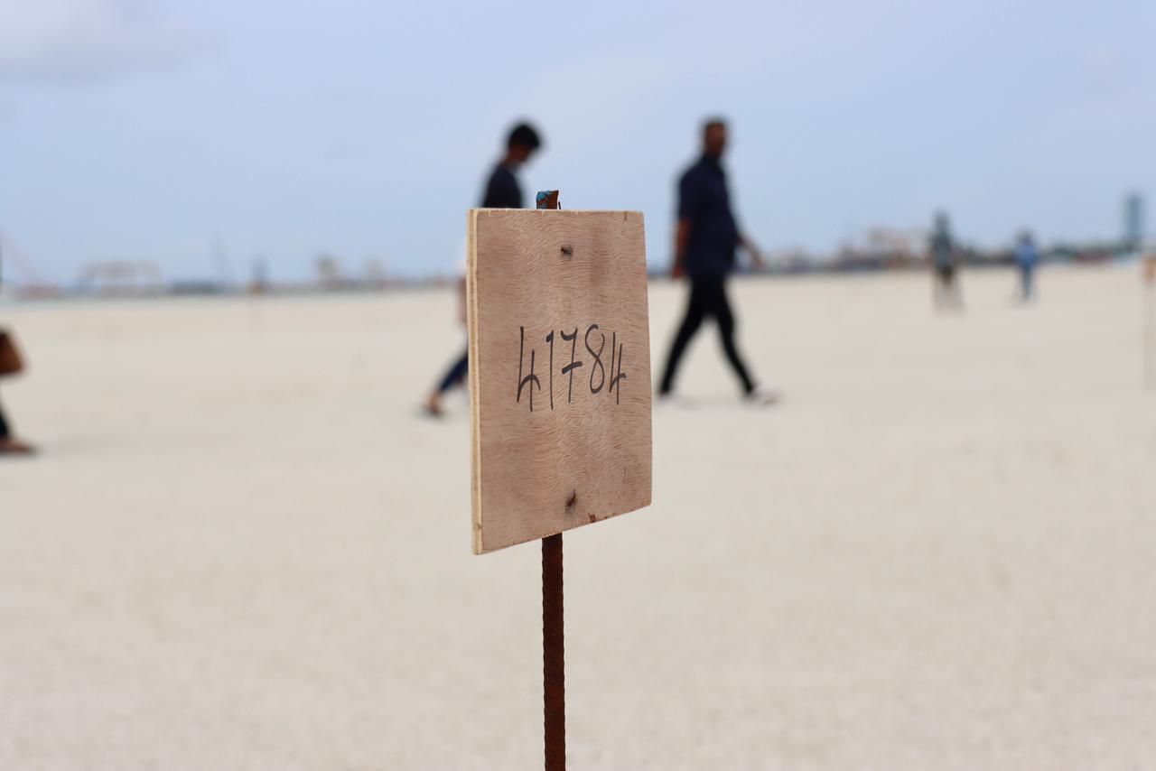 ގުޅިފަޅުން ބަންޑާރަ ގޯތި ދޫކުރުމަށް އިން ޖަހާ ހަވާލު ކުރުން