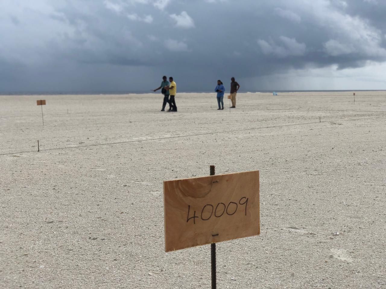 ގުޅިފަޅުން ބަންޑާރަ ގޯތި ދޫކުރުމަށް އިން ޖަހާ ހަވާލު ކުރުން