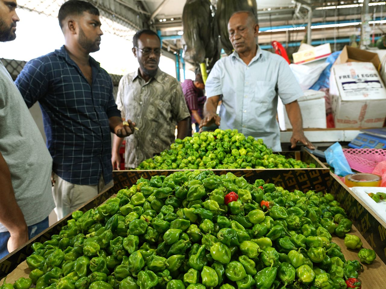 ލޯކަލް މާރުކޭޓު