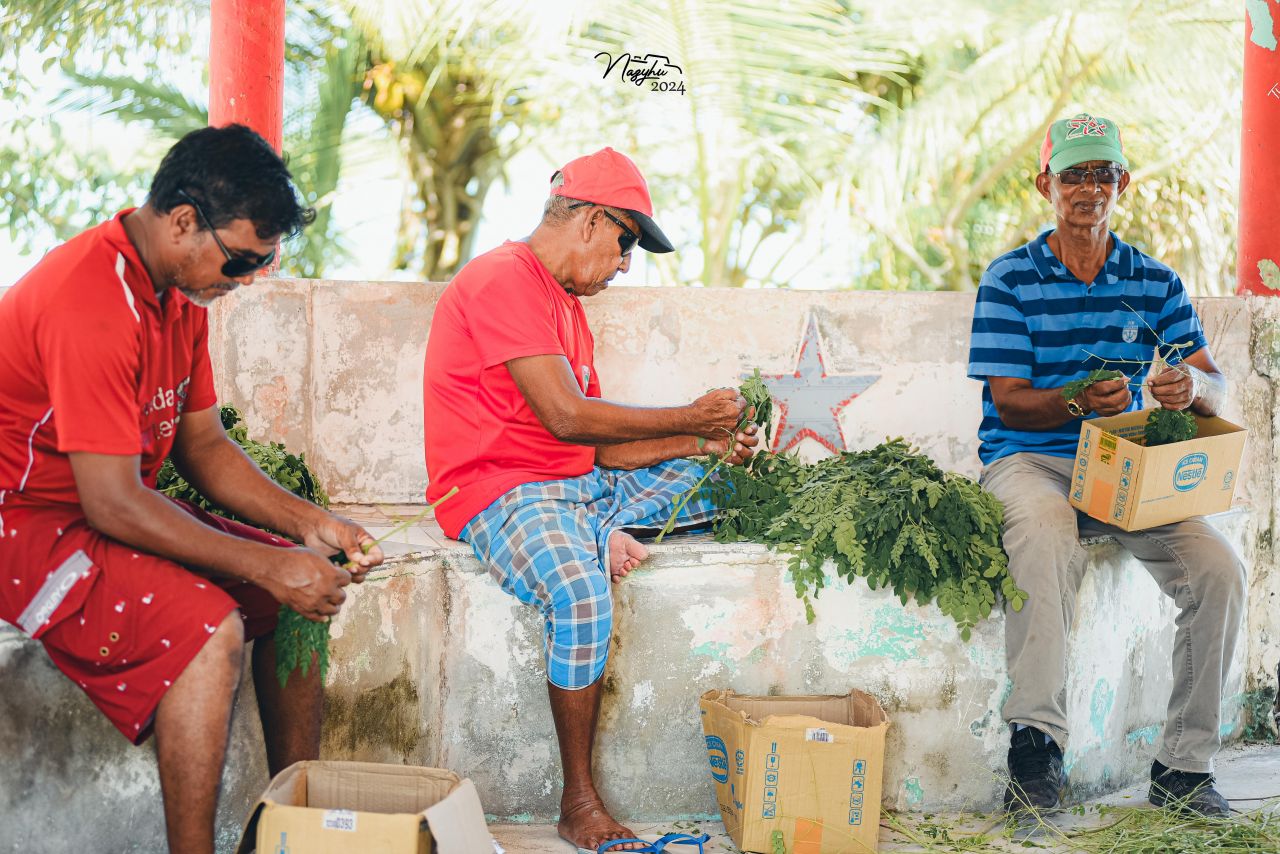 ބާރަށުގެ ގުޅުން ބަދަހިކޮށްލާ 45 އަހަރެއްހާ ދުވަސްވީ ދިގުބަތްޕެން!