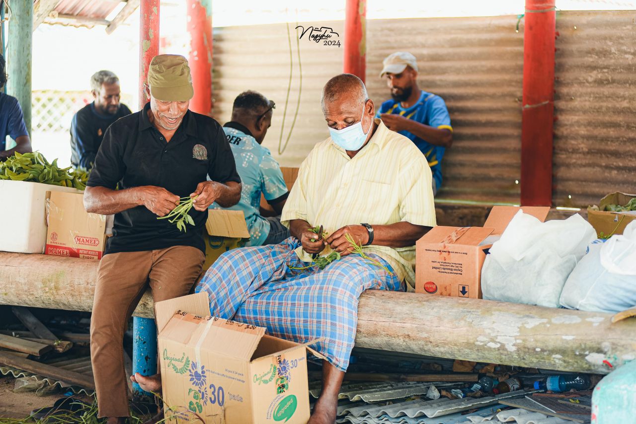 ބާރަށުގެ ގުޅުން ބަދަހިކޮށްލާ 45 އަހަރެއްހާ ދުވަސްވީ ދިގުބަތްޕެން!