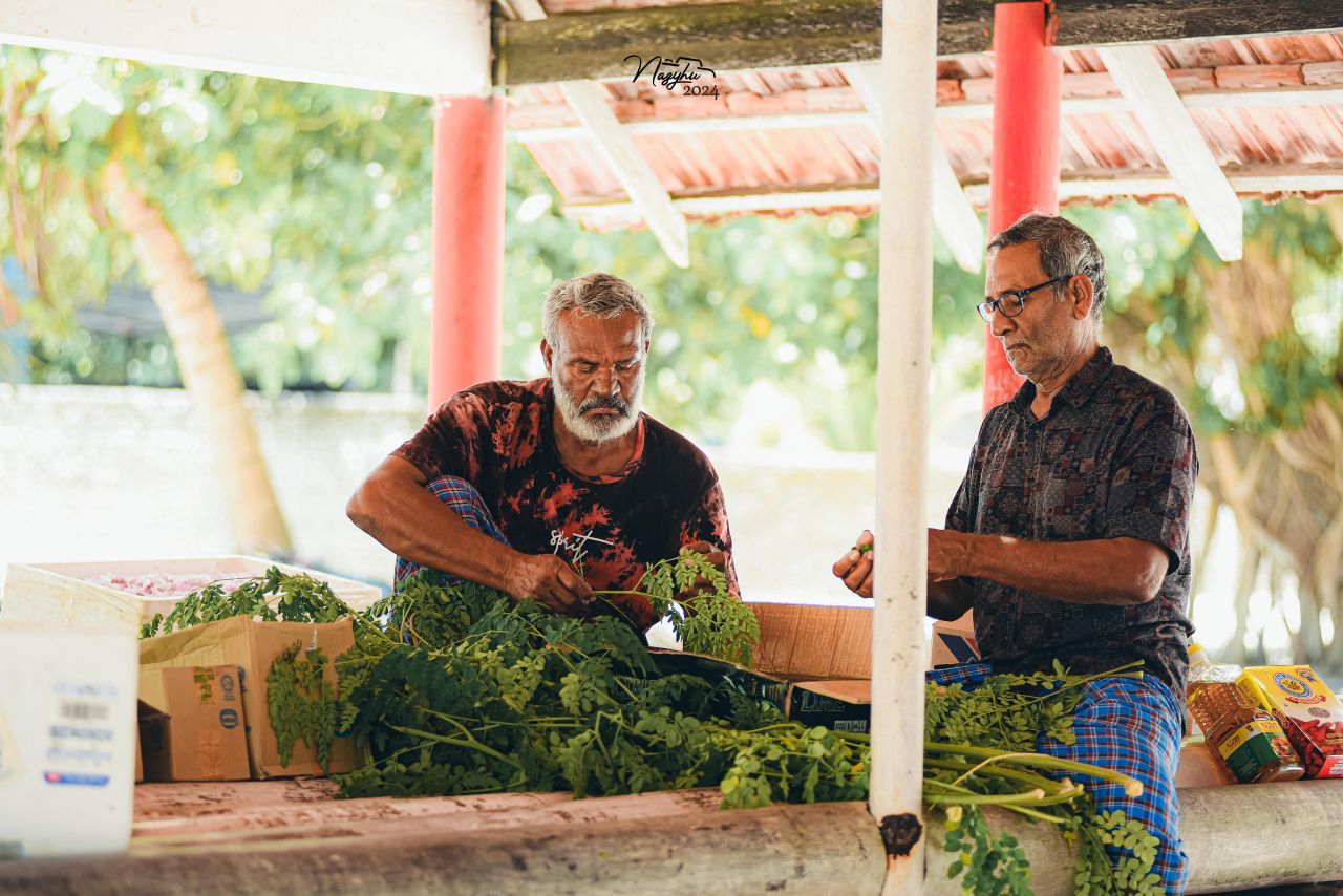 ބާރަށުގެ ގުޅުން ބަދަހިކޮށްލާ 45 އަހަރެއްހާ ދުވަސްވީ ދިގުބަތްޕެން!