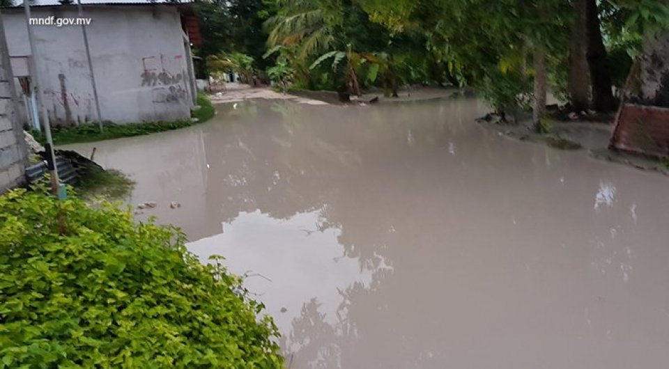 L. atholhun feshigen addu ah white alert nerefi