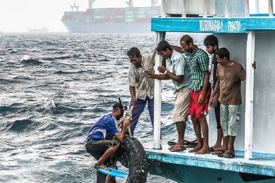 Lhaimagun bidheysee eh gelluvaali massalaigai 2 bidheysee aku hayyarukohffi