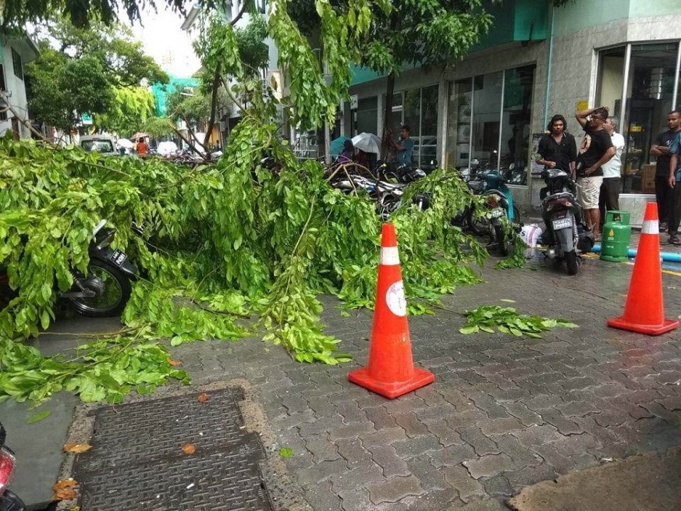 Fareedhee magugai huri gahehgge gofi gandeh vetti meehakah aniyaa vejje