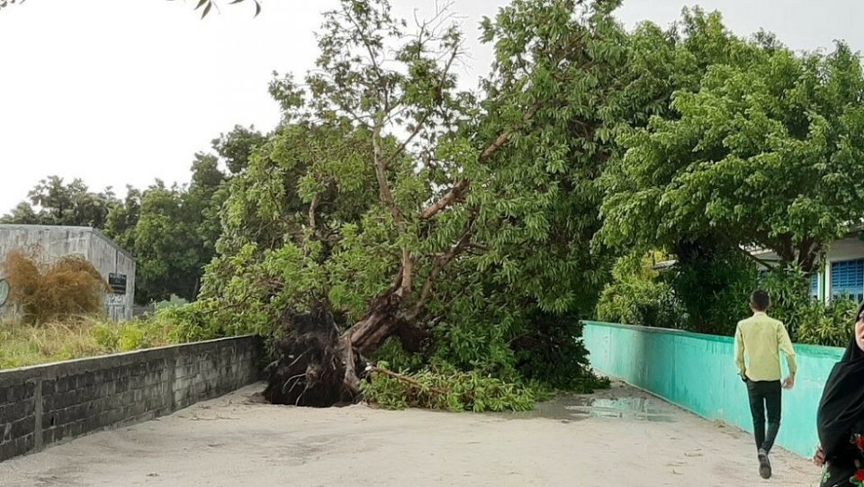 Veythuvedhiy 24 gadi iru therey emme bodah vissaara kuree Kela ah!