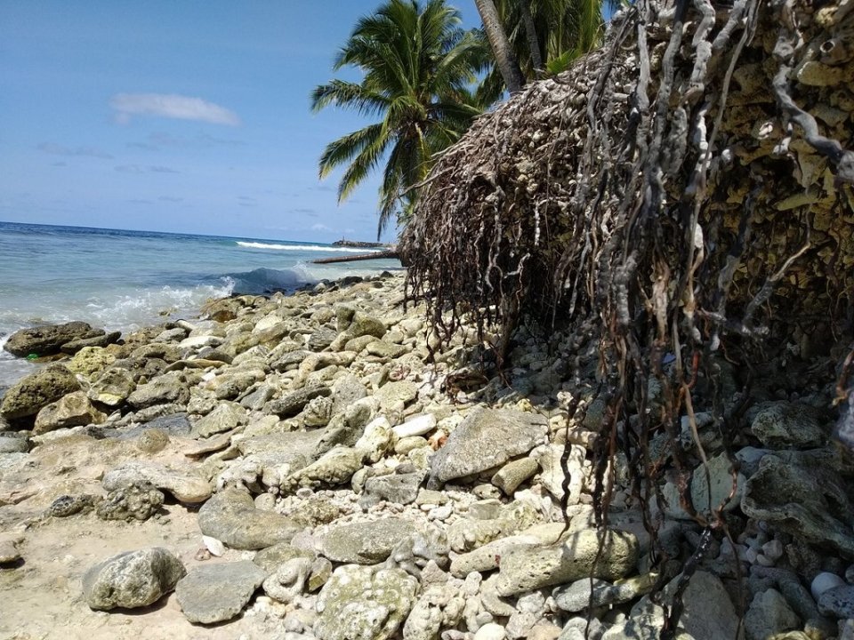 BREAKING: Raajjeygai climate emergency iulaanu kuran faaskohffi